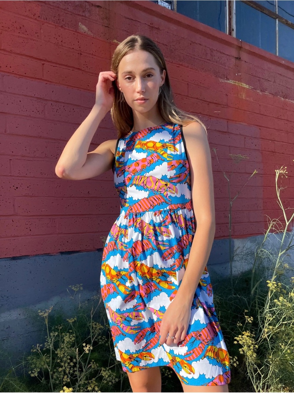 Nooworks Blue shrimp Print Mini Dress size small